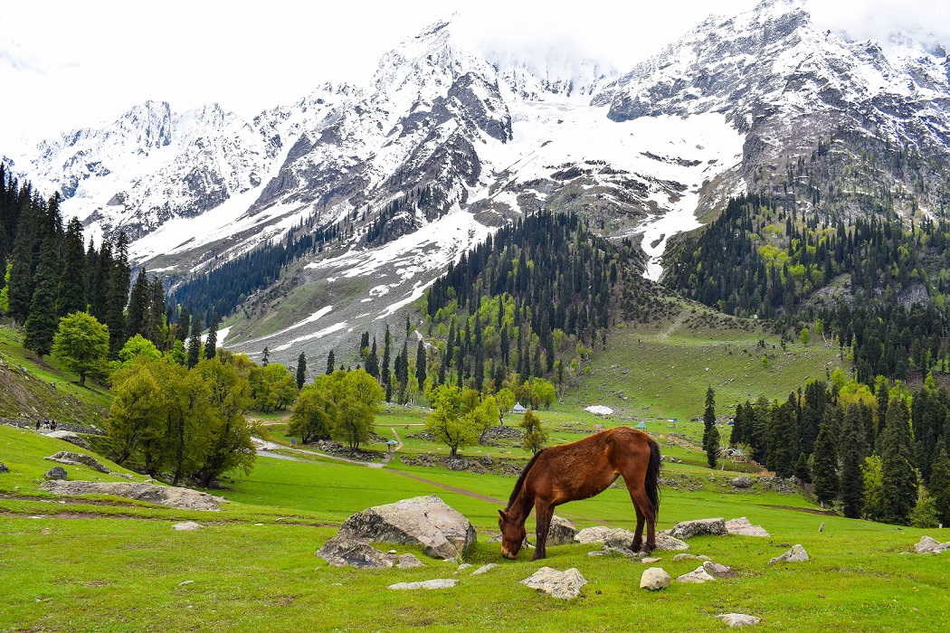 Kashmir Great Lakes