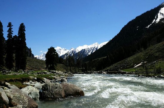 Kolahoi Glacier Trek